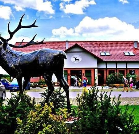 Pensjonat I Restauracja Hubertowka Milicz Luaran gambar