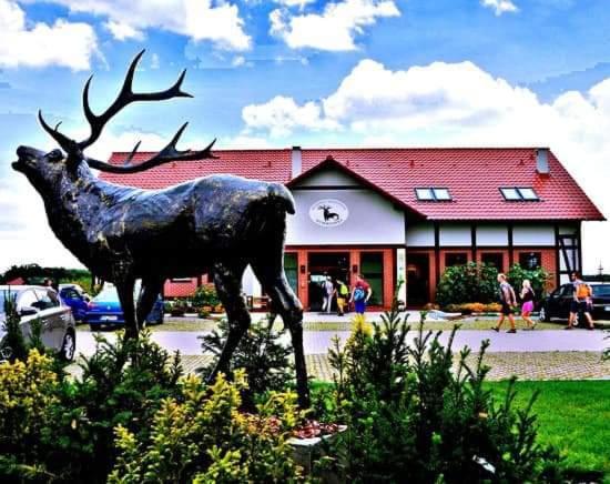 Pensjonat I Restauracja Hubertowka Milicz Luaran gambar